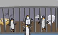 Milton, O Penguin: Fugindo do Zoológico