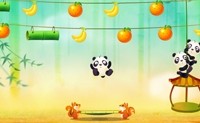 Saltos do Panda