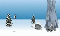 Atinge o Pinguim